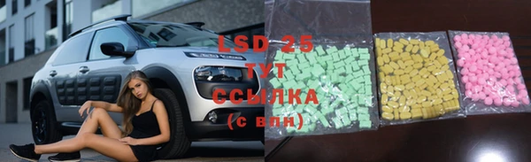 ГАЛЛЮЦИНОГЕННЫЕ ГРИБЫ Зеленокумск