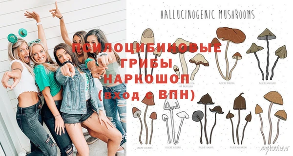 ГАЛЛЮЦИНОГЕННЫЕ ГРИБЫ Зеленокумск