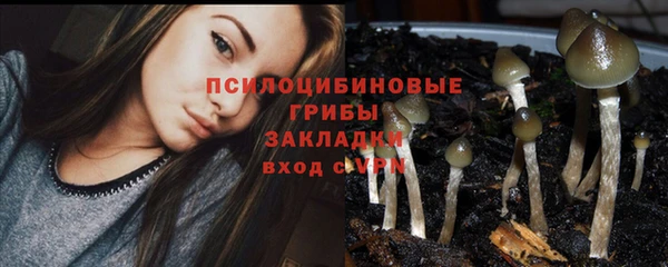 скорость Зеленодольск