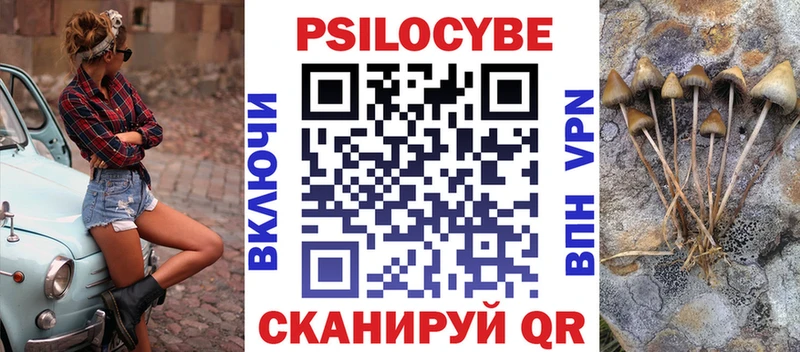 Купить закладки  Звенигород  Галлюциногенные грибы мицелий 